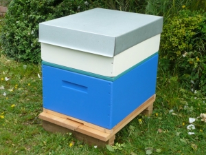 Rentahive Blue brood box also showing a cream honey box