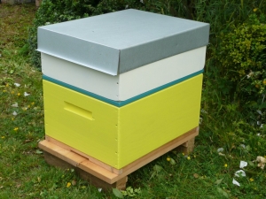 A Rentahive Yellow brood box with a cream honey box