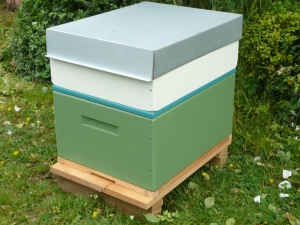 A Rentahive Green brood box with  cream honey box