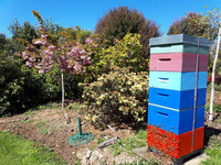 Our Rentahive Hive Colours and range
