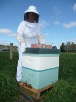 Heidi tending to one of our hives