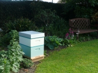 Rentahive hive displaying Pale Turquoise and Cream colours