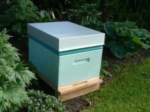 Rentahive pale turquoise hive option