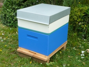 Our Rentahive Blue Brood box option