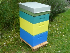 Our Rentahive colours as a taller hive