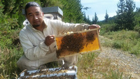 Maan Tamang - Apiarist Maan Tamang - Apiarist